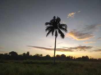 Silhouette palm trees on field against sky during sunset