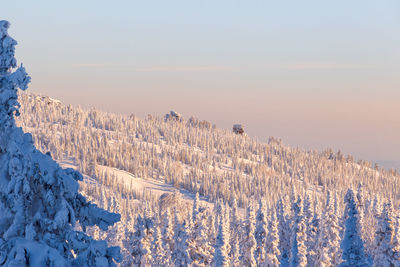 Scenic view of snow covered land against sky