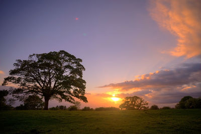 Scenic view of field against sky during sunset
