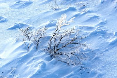 Close-up of snow