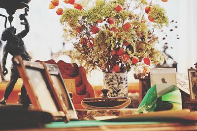 Close-up of potted plant on table