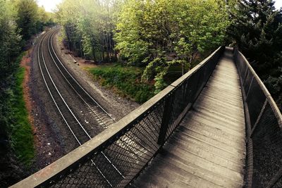 Railroad tracks in winter