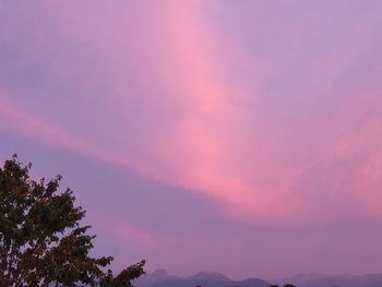 Low angle view of silhouette trees against romantic sky