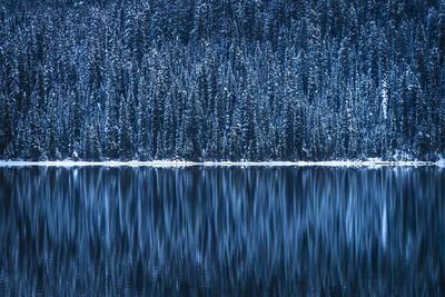 Reflections of the forest at emerald lake