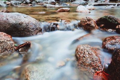 Close-up of pebbles in water