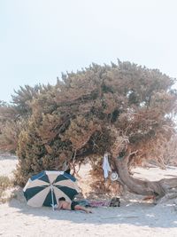 Rear view of woman sitting on beach