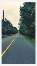 Empty road along trees