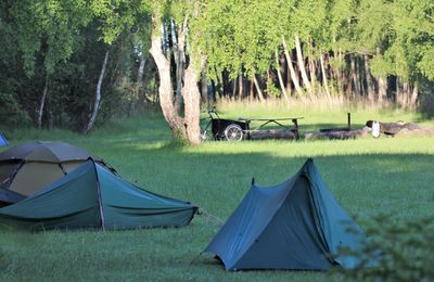 Camping in nature. youth over nigh in natureprotection area,vestamager. 