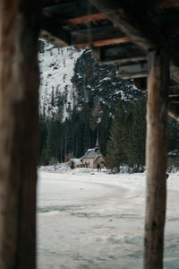 View of a horse in winter