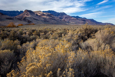 Scenic view of land and mountains against sky