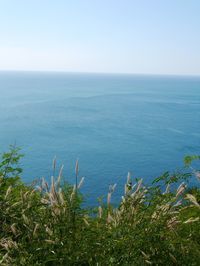 Scenic view of sea against blue sky