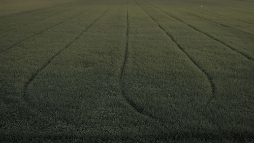 High angle view of field