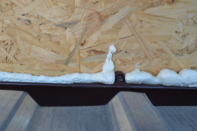 High angle view of white bird on wooden floor