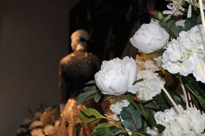 Close-up of white rose flower