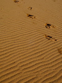 High angle view of sand dunes in desert