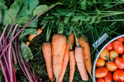 Close-up of vegetables