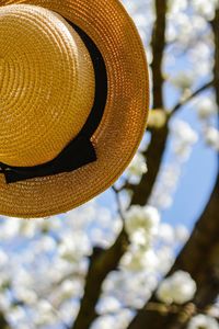 Low angle view of hat on tree against sky