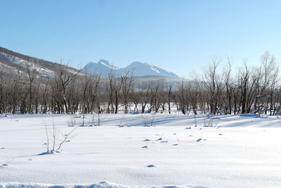 Scenic view of landscape against clear sky during winter