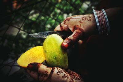 Close-up of hand holding fruit on tree