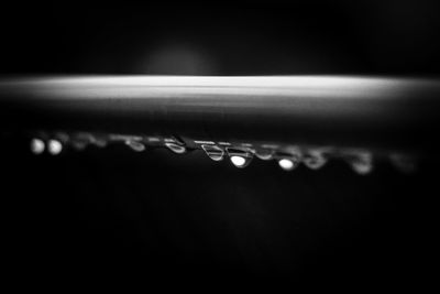 Close-up of water drops on leaf