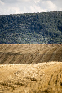 High angle view of landscape