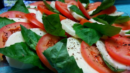 caprese salad