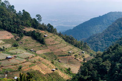 High angle view of agricultural field against sky