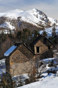 Snow covered trees and buildings against sky