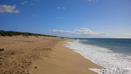 Scenic view of beach against blue sky