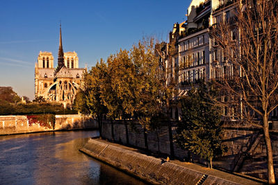 Trees and canal against buildings in city