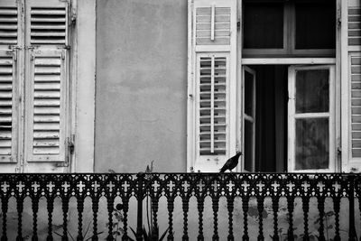 Closed window of building