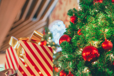 Close-up of christmas tree