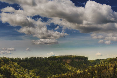 Scenic view of forest against sky