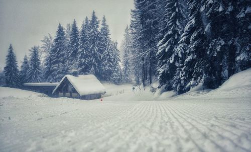 Snow covered trees and houses against clear sky