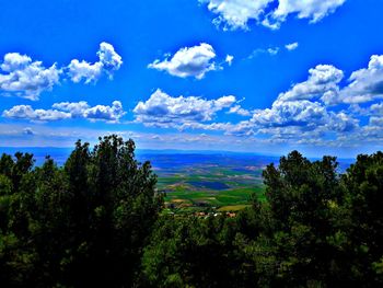 Scenic view of trees against sky