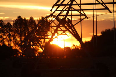 Close-up of silhouette trees against sunset