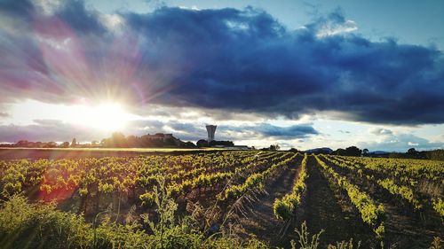 Scenic view of field against cloudy sky