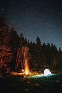 Bonfire against trees at night