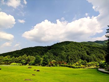 Scenic view of field against sky