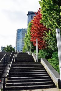 Low angle view of staircase in park