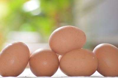 Close-up of eggs on table