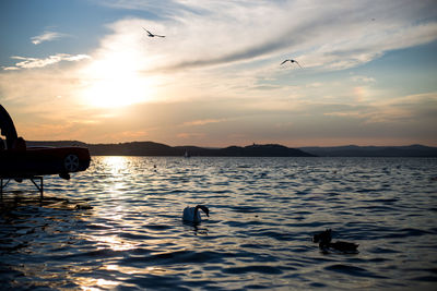 Seagulls flying over sea against sky during sunset