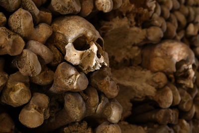 Close-up of stacked human skulls and bones