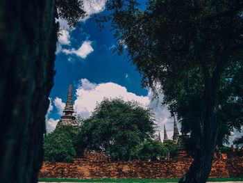 Trees and buildings against sky