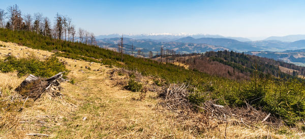 Scenic view of field against sky