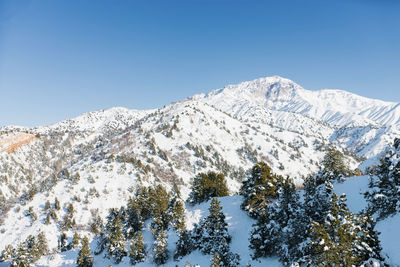 Tien shan mountains, uzbekistan. beldersay ski resort in winter on a sunny day