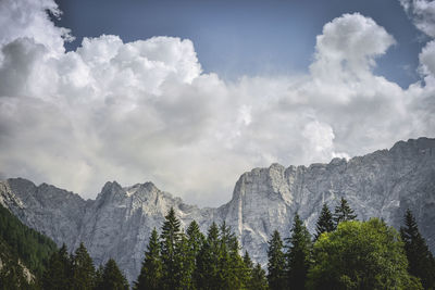 Panoramic view of trees and mountains against sky