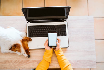 Rear view of woman using laptop