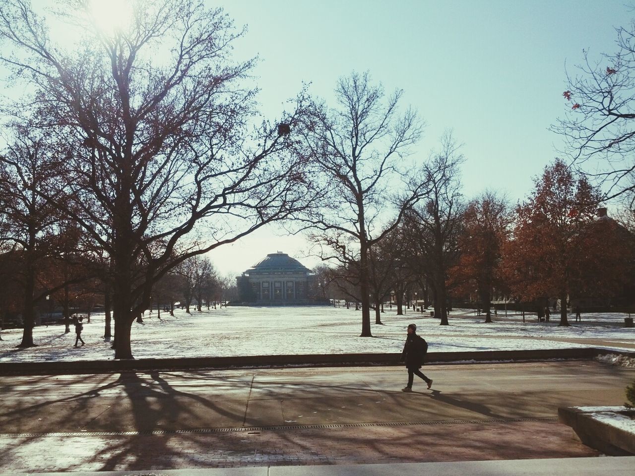 University Of Illinois