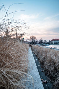 Scenic view of river against sky during winter